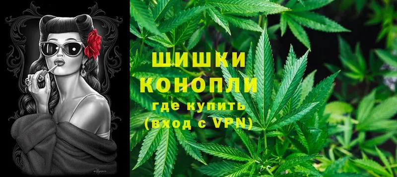 Бошки марихуана Ganja  Камень-на-Оби 